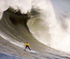 开云体育中心-莱比锡主帅豪言，今晚必须击败海港，否则辞职！一场关乎尊严与命运的生死战，莱比锡主帅下军令状，不赢海港就辞职！